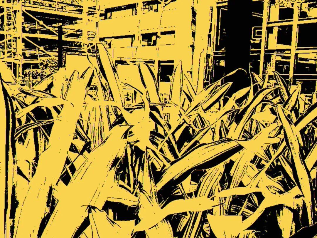 垃圾全世界抢疯了200块的电子(图3)